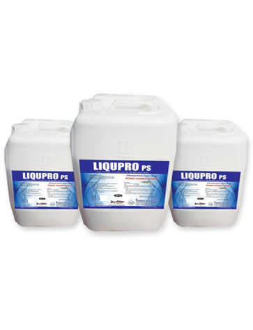 feed additive and supplement