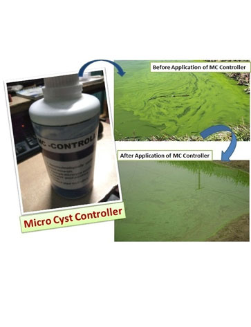 feed additive and supplement
